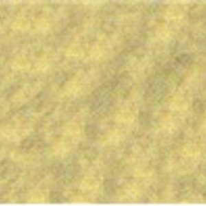 Sennelier Oil Pastels: Yellow Grey